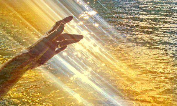 Light and sound service Website